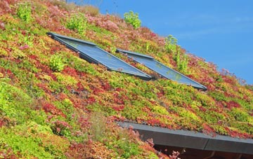 Sibsey Fen Side living roof systems