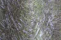 Sibsey Fen Side fibreglass roof work